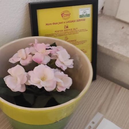 דירות Simply Dubrovnik Nikole Bozidarevica 2 A B C D מראה חיצוני תמונה